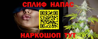шишки Краснодар