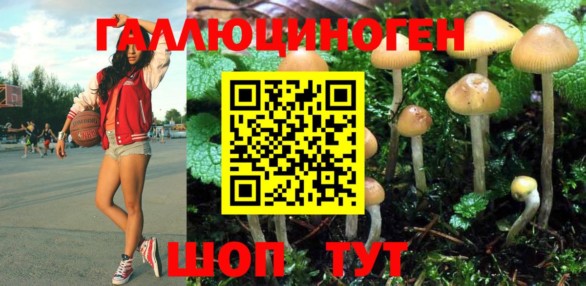 Псилоцибиновые грибы Magic Shrooms  Вход с VPN  Клинцы 